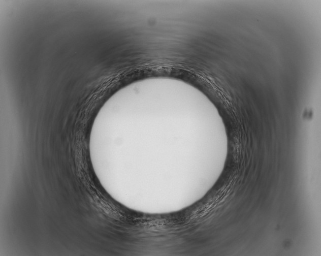 X0000099420769200805090750