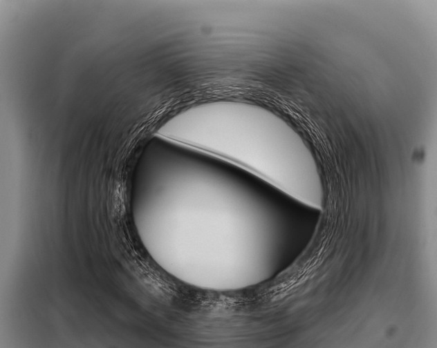 X0000099420772200805090750