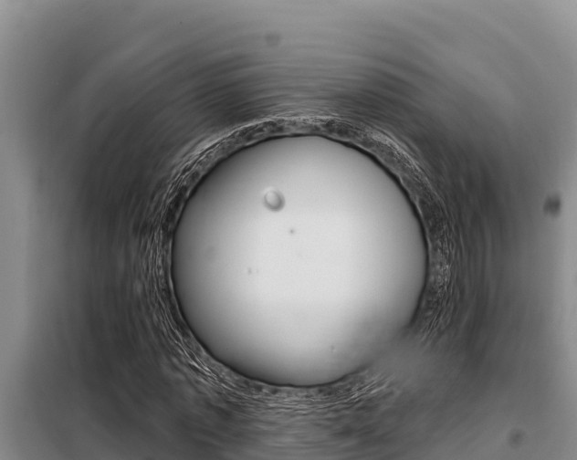 X0000099420773200805090750