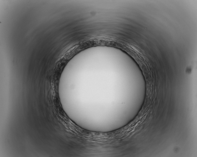 X0000099420774200805090750