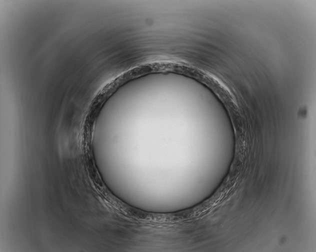 X0000099420775200805090750