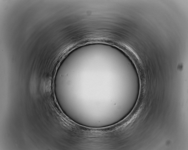X0000099420777200805090750