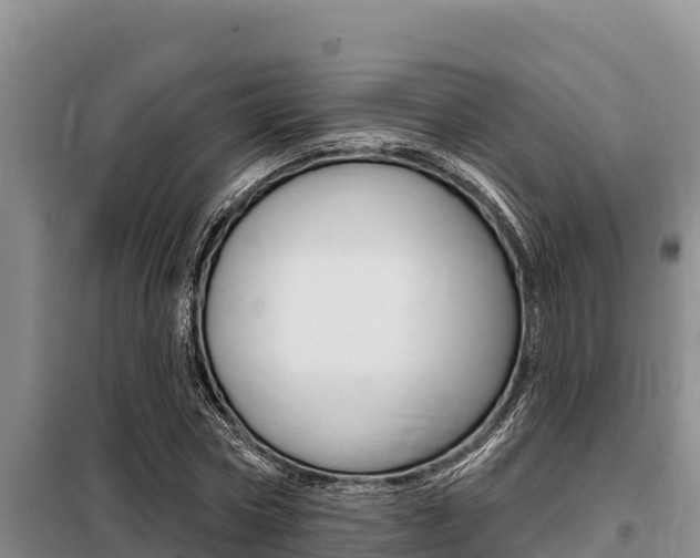 X0000099420778200805090750