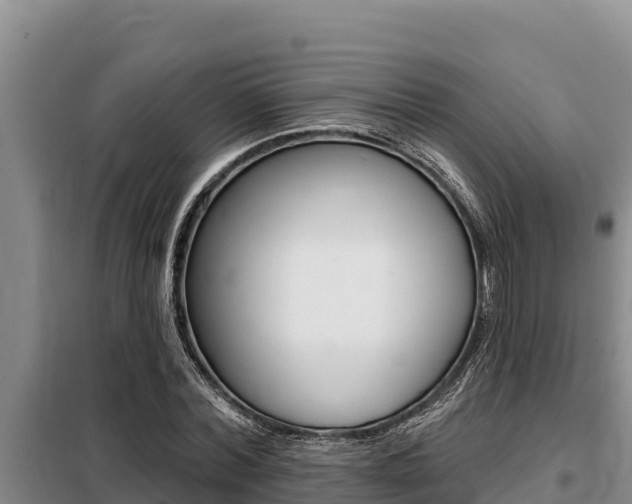 X0000099420780200805090750
