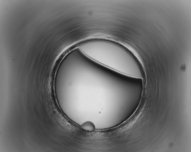 X0000099420783200805090750