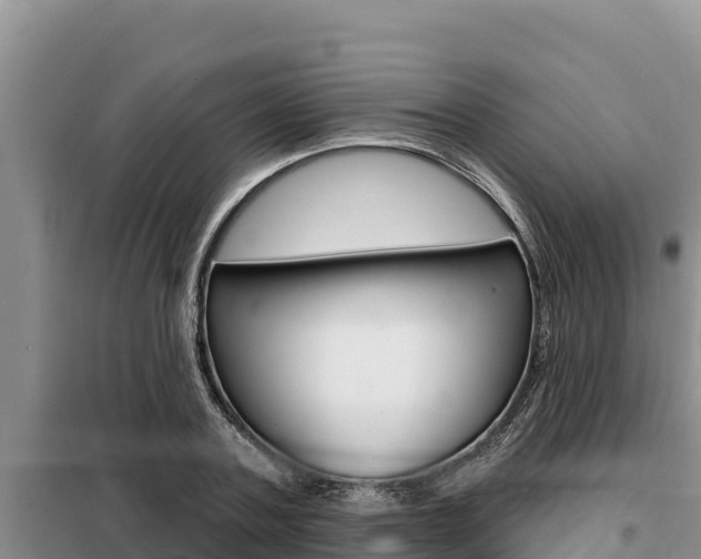 X0000099420787200805090750