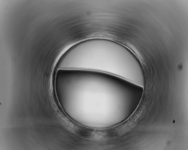 X0000099420788200805090750