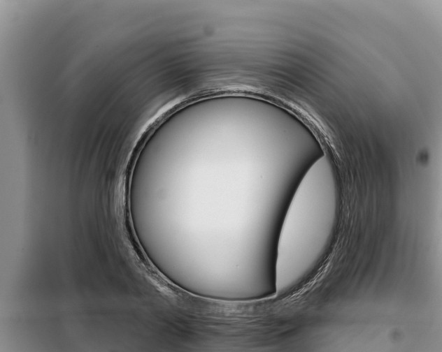 X0000099420790200805090750