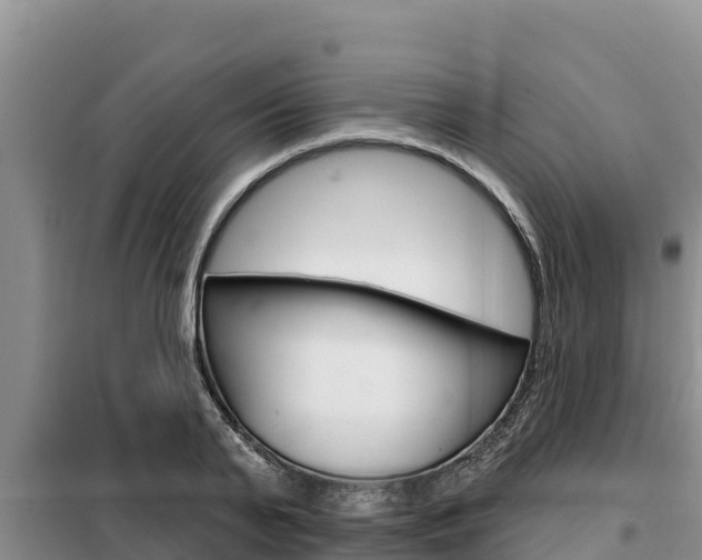 X0000099420791200805090750