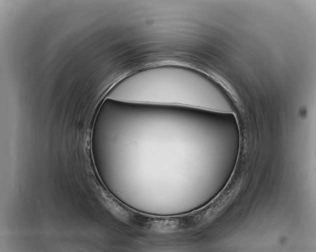 X0000099420793200805090750