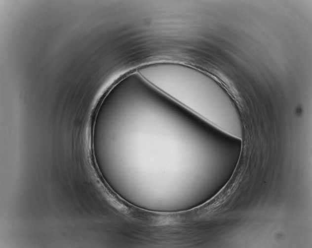 X0000099420796200805090749