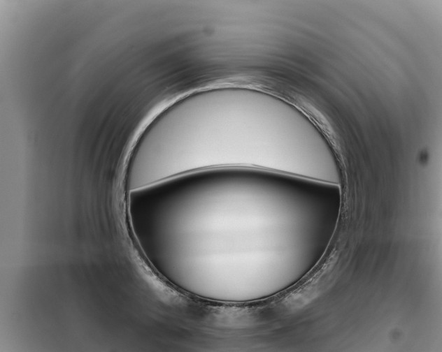 X0000099420800200805090749