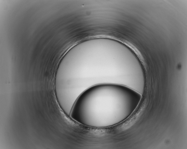 X0000099420801200805090749