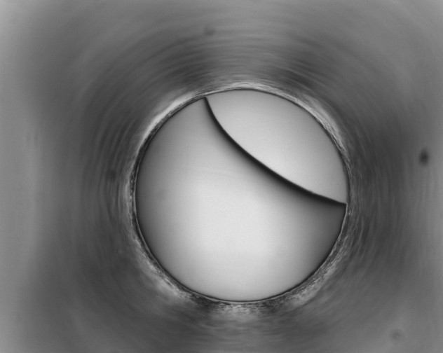 X0000099420806200805090749