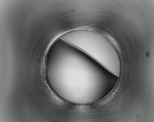 X0000099420808200805090749