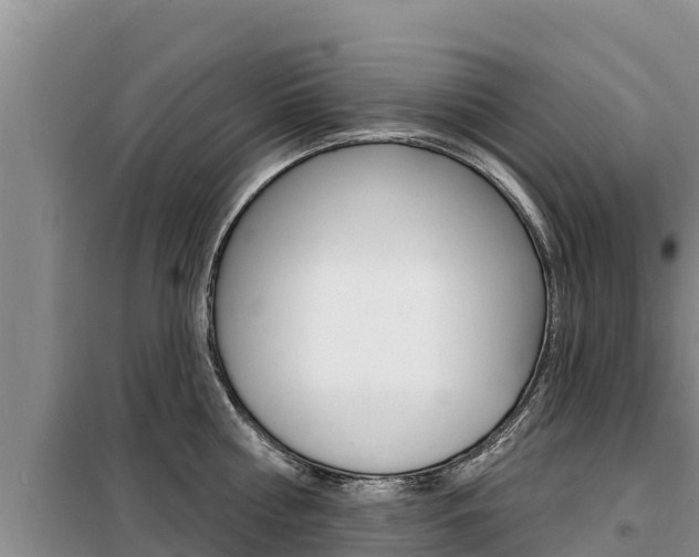 X0000099420810200805090749