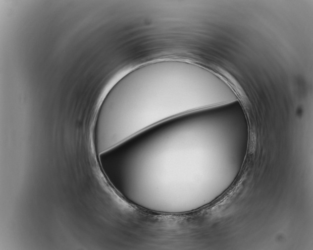X0000099420812200805090749