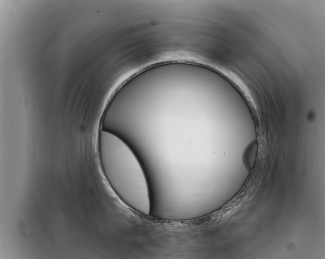 X0000099420815200805090749