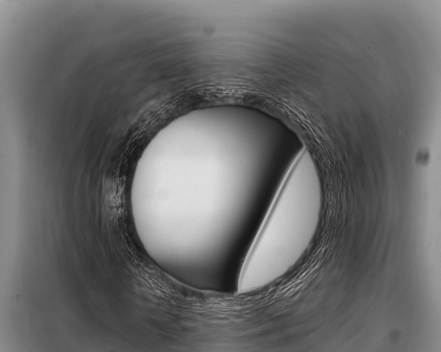 X0000099420818200805090748
