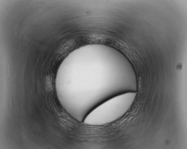 X0000099420819200805090748