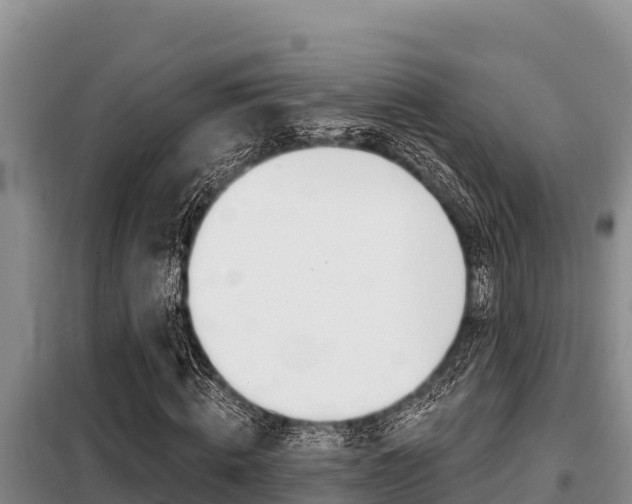 X0000099420820200805090748
