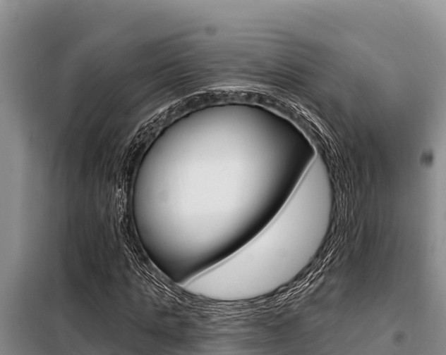 X0000099420821200805090748