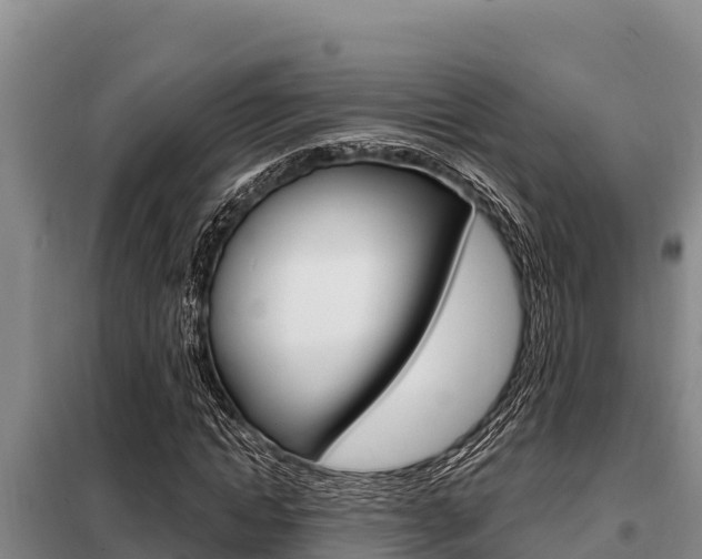 X0000099420822200805090748