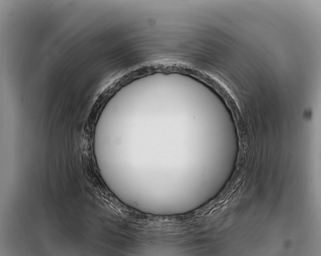 X0000099420823200805090748