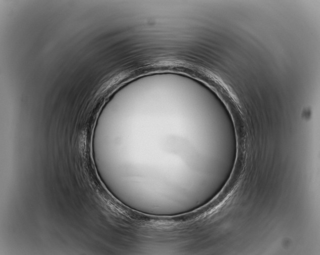 X0000099420825200805090748