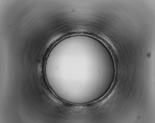 X0000099420826200805090748