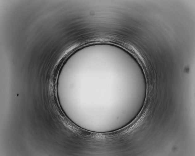 X0000099420827200805090749