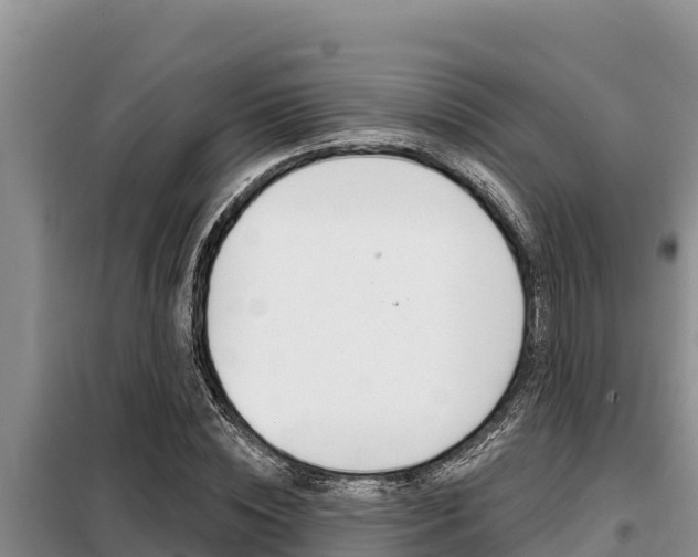 X0000099420828200805090749