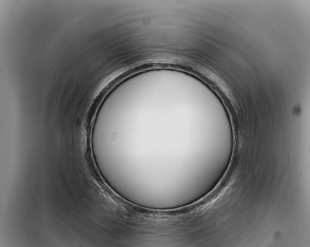 X0000099420829200805090749
