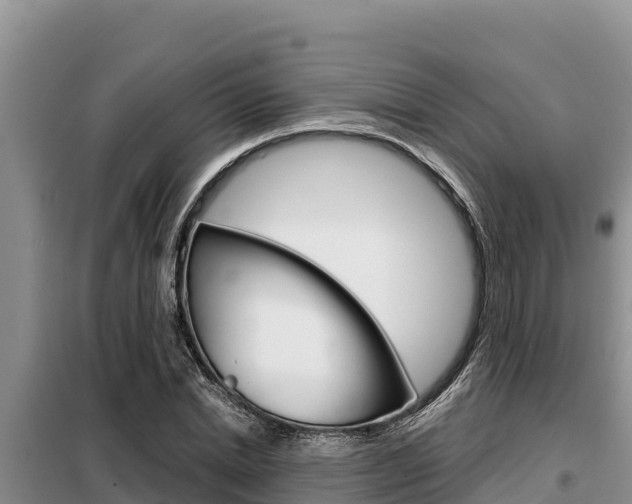 X0000099420830200805090749