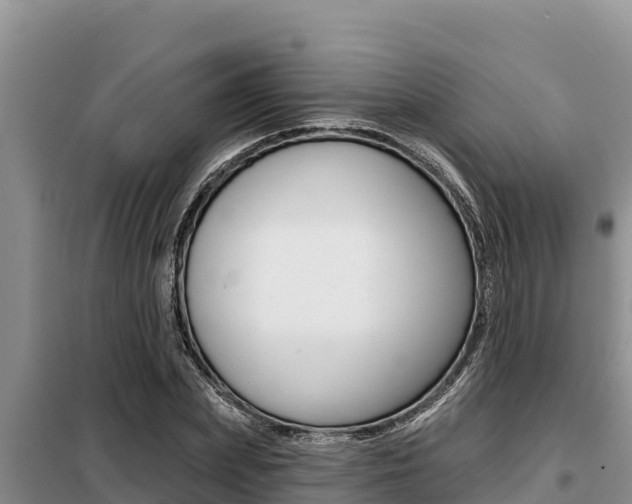 X0000099420831200805090749