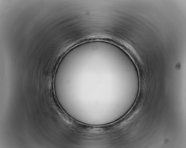 X0000099420833200805090749