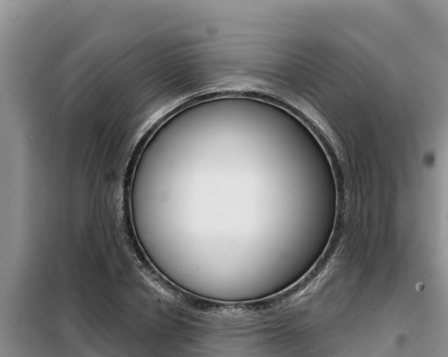 X0000099420834200805090749