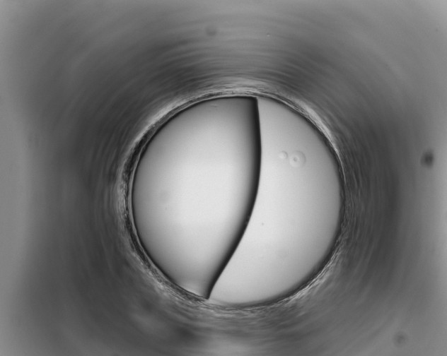 X0000099420835200805090749