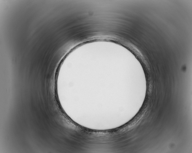 X0000099420836200805090749