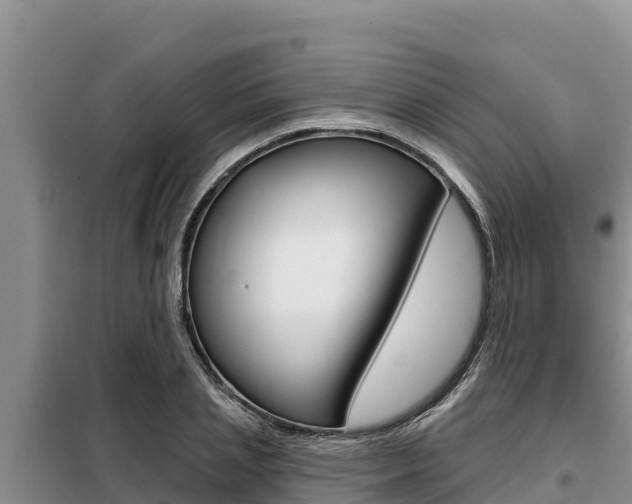 X0000099420837200805090749