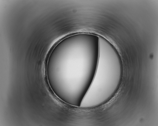 X0000099420838200805090749
