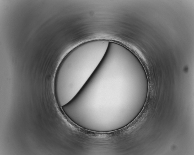 X0000099420839200805090749
