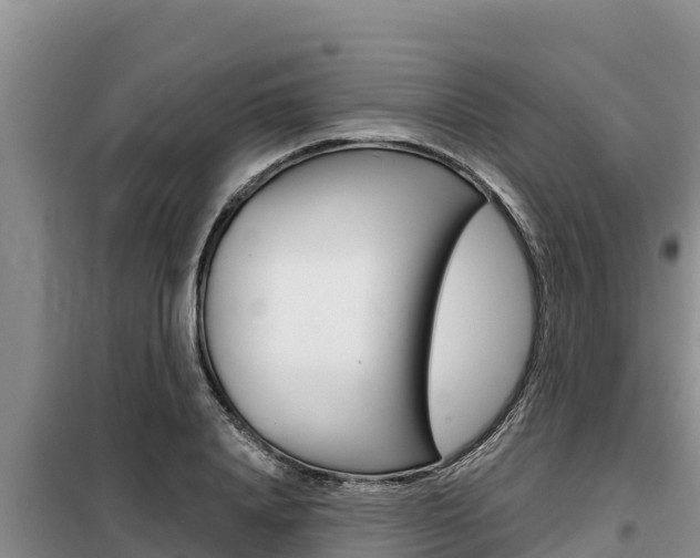 X0000099420840200805090749