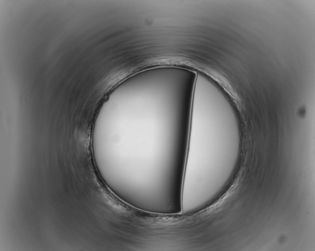 X0000099420841200805090749