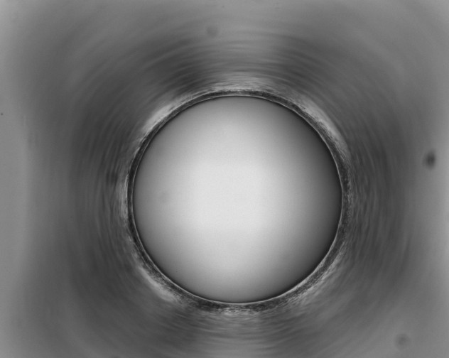 X0000099420842200805090749