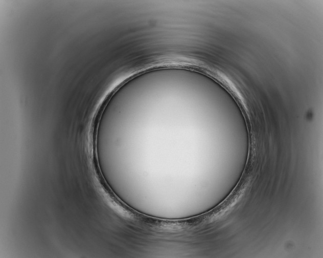 X0000099420843200805090749