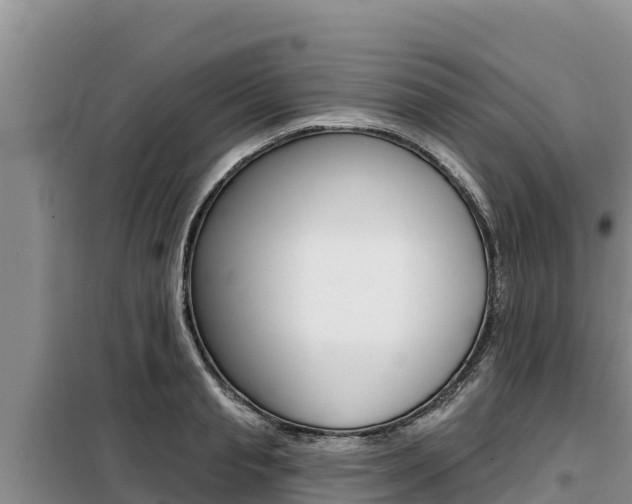 X0000099420845200805090749