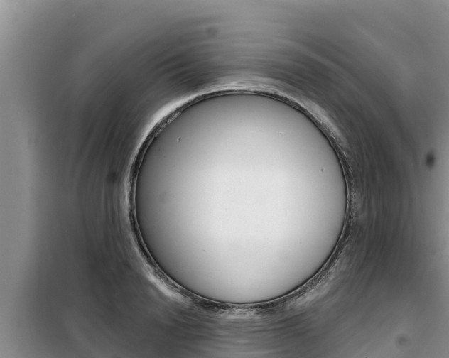 X0000099420846200805090749