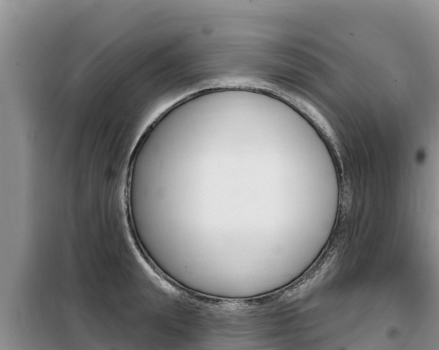 X0000099420847200805090749