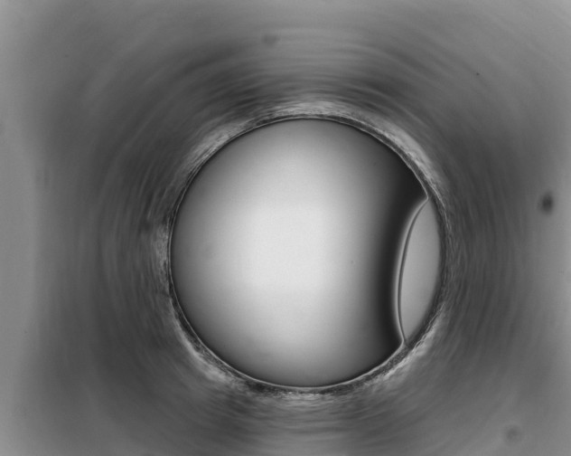 X0000099420849200805090749